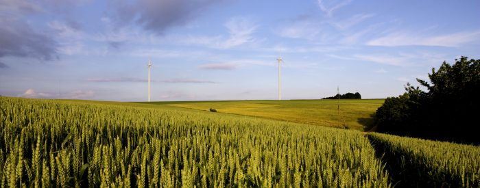 Die Energie aus Luft, Sonne und Erdreich nutzen